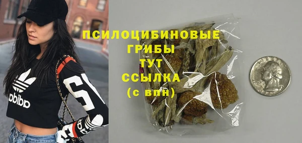 стафф Алексин