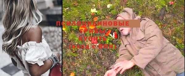 стафф Алексин