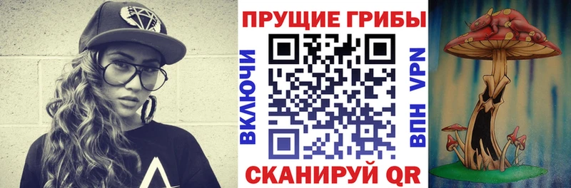 Галлюциногенные грибы мицелий  Щигры 