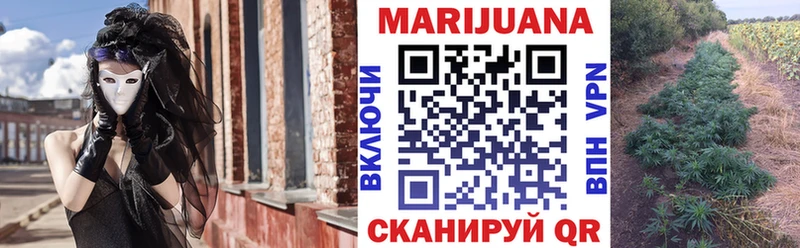 Бошки марихуана VHQ  наркошоп  Щигры 